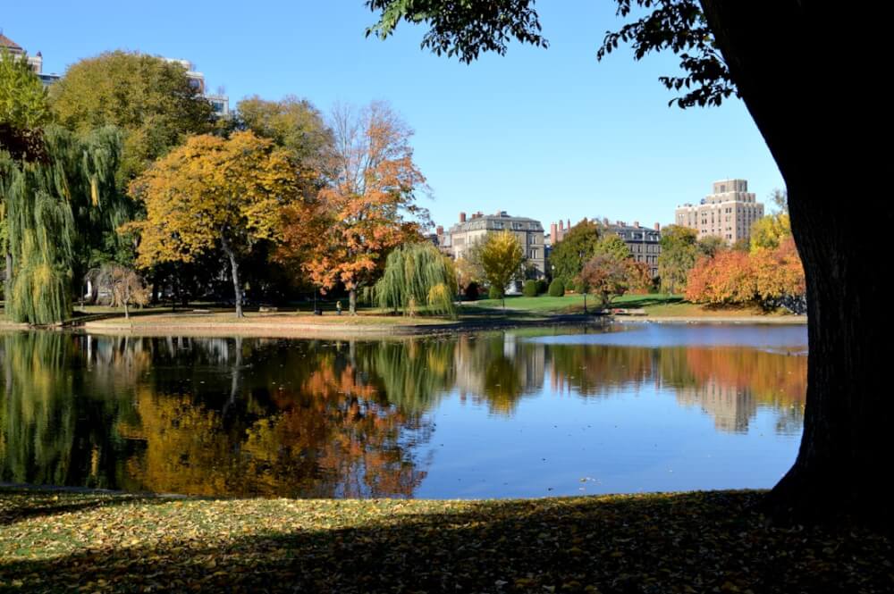 Inside Boston: A Walking City Between the Charles and the Harbor